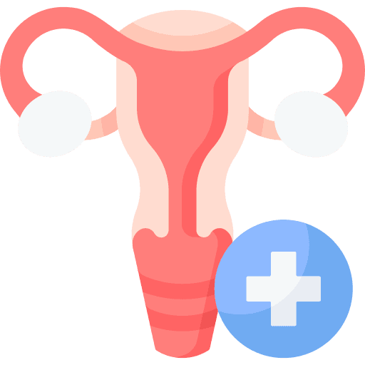 a female reproductive part