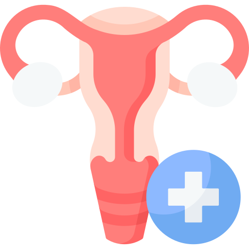 a female reproductive part